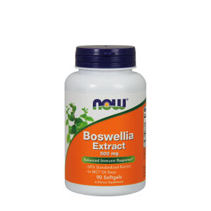 Wyciąg z boswelli 500 mg – Viking Supplements