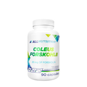 Coleus Forskohlii – 90 kapsułek – Viking Supplements
