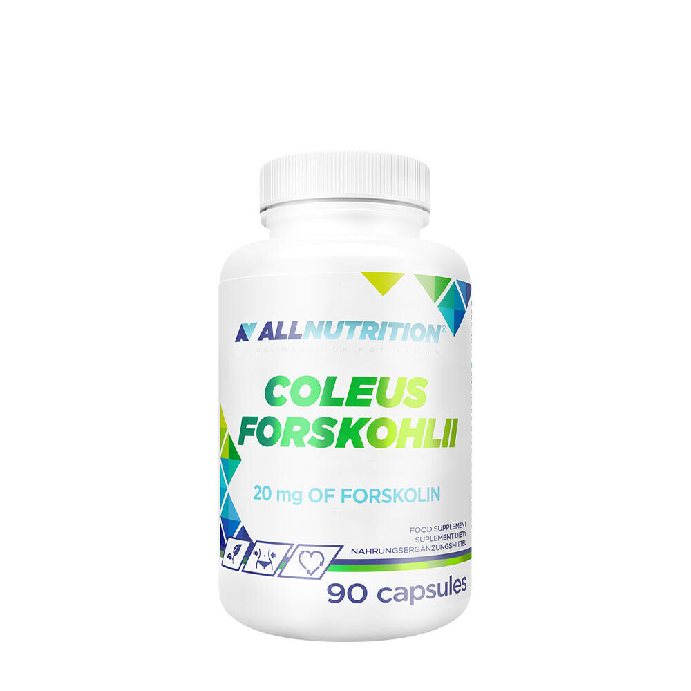 Coleus Forskohlii – 90 kapsułek – Viking Supplements