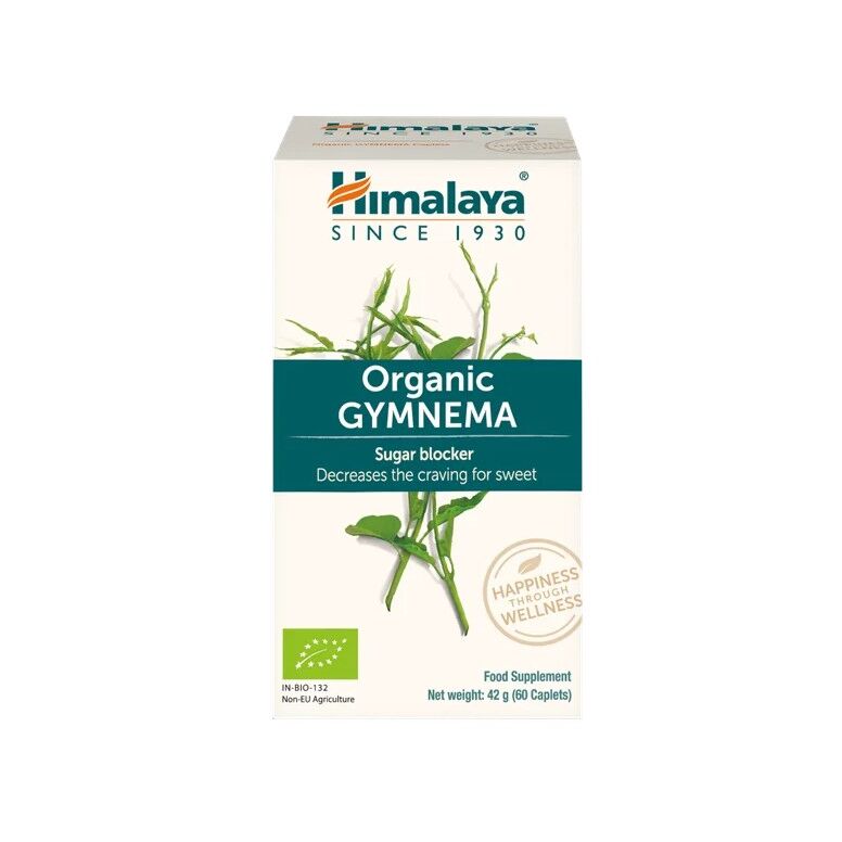 Gymnema – 60 tabletek – Viking Supplements