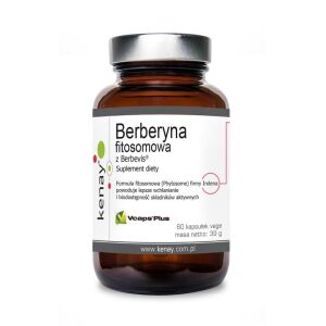 KENAY Phytosome Berberine with Berbevis (60 caps) - Viking Supplements