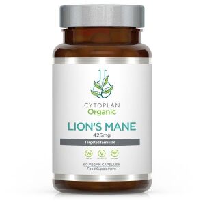 Lion's Mane – 60 kapsułek – Viking Supplements