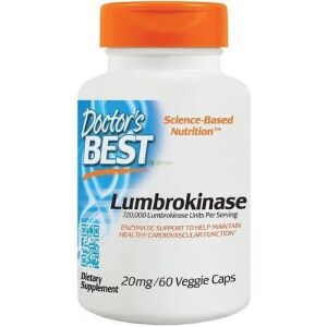 Lumbrokinaza
