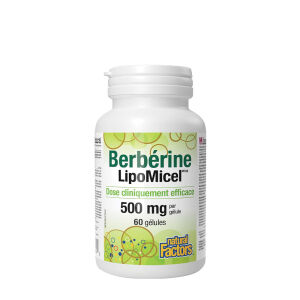 Natural Factors Berberine LipoMicel Matrix (60 Softgels) - Viking Supplements