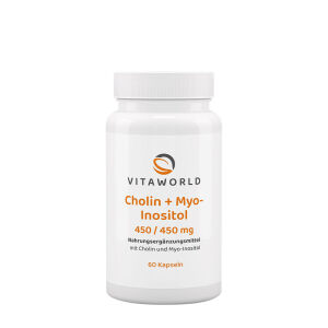 Vitaworld Choline + Inositol 450/450 mg (60 Capsules) - Viking Supplements