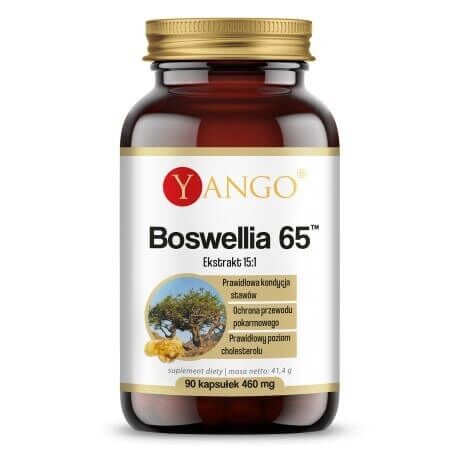 YANGO Boswellia 65 (90 caps) - Viking Supplements
