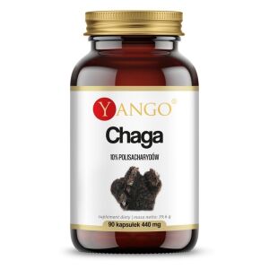 YANGO Chaga – 10% (90 kapsułek) – Viking Supplements