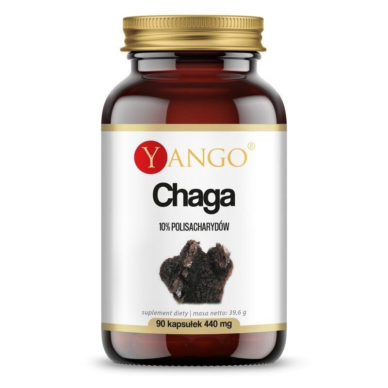 YANGO Chaga – 10% (90 kapsułek) – Viking Supplements