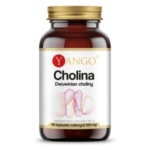 YANGO – dwuwinian choliny