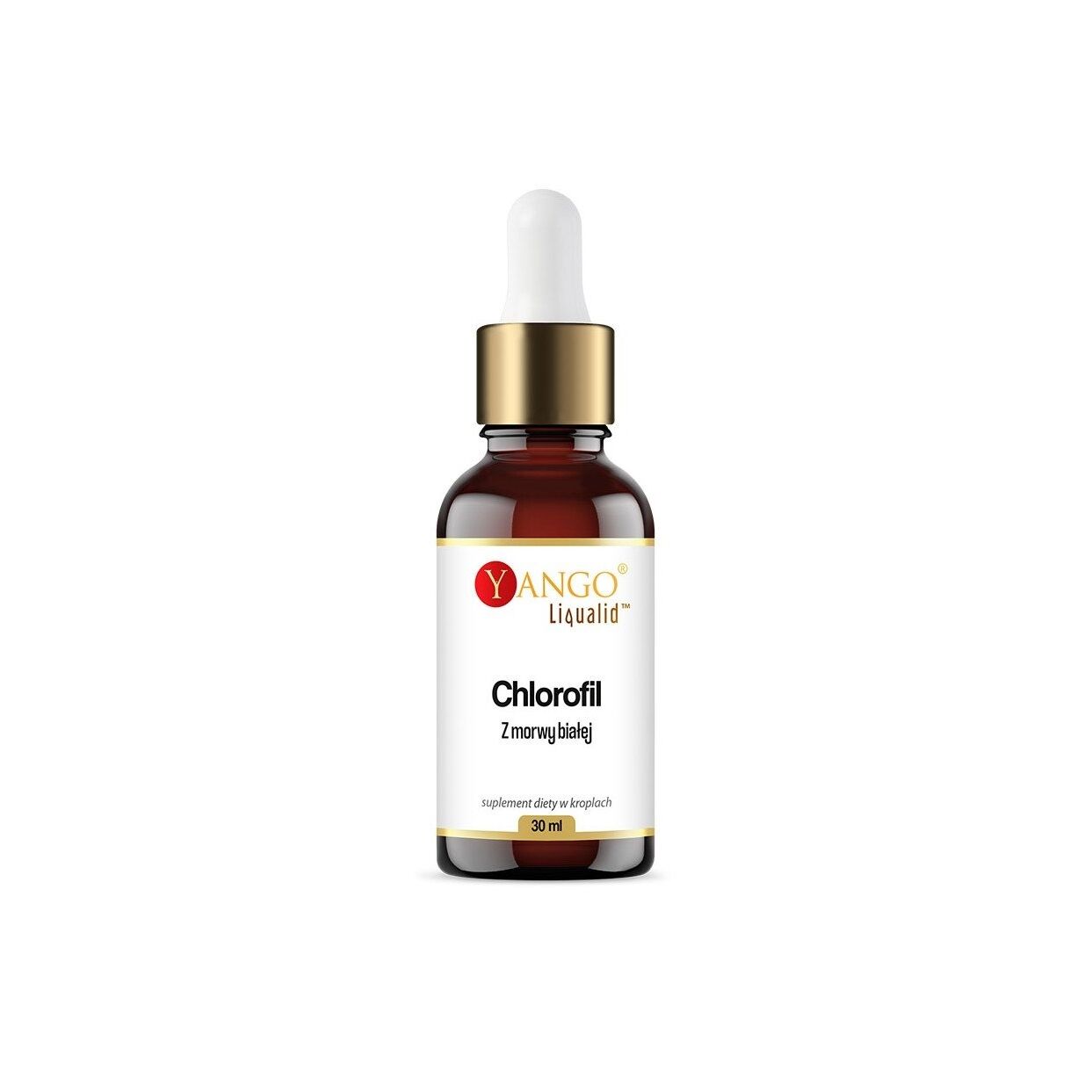 YANGO Chlorofil z morwy białej w kroplach (30 ml / 1 fl. oz.) – Viking Supplements